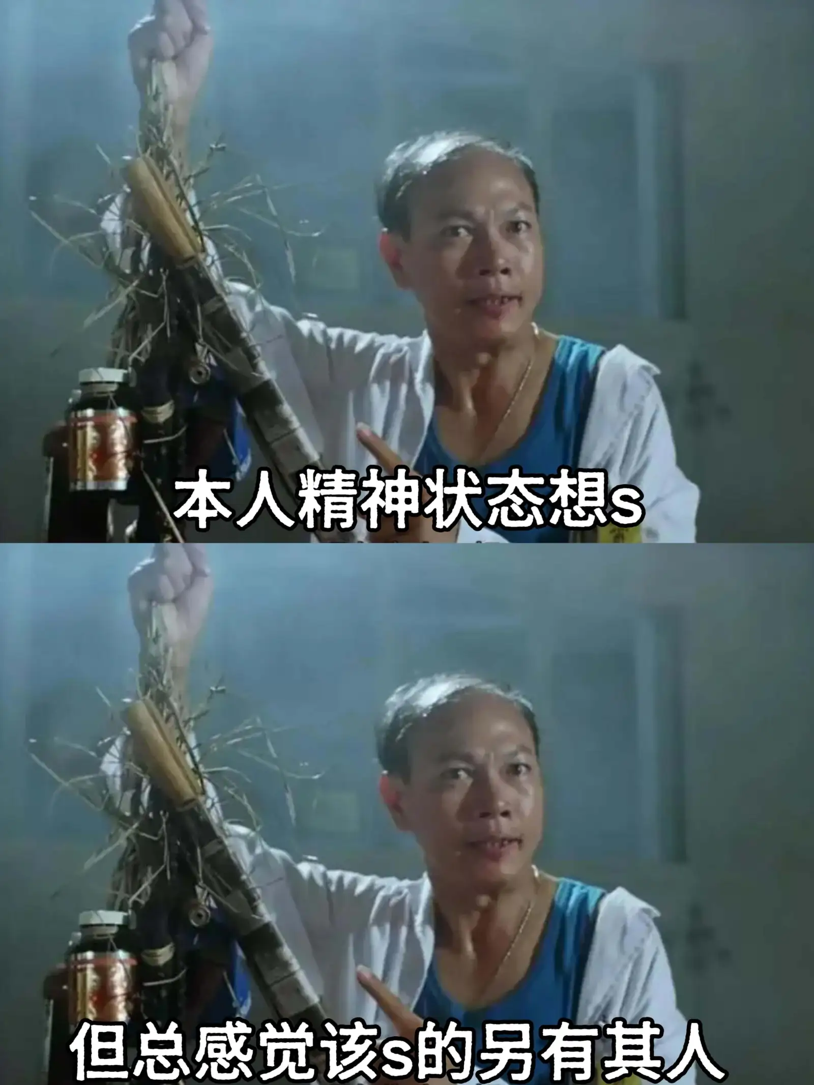 本人精神状态想但总感觉该死的另有其人