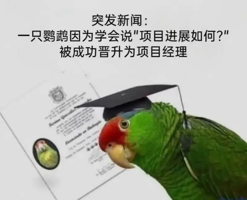 突发新闻：一只鹦鹉因为学会说“项目进展如何？”被成功晋升为项