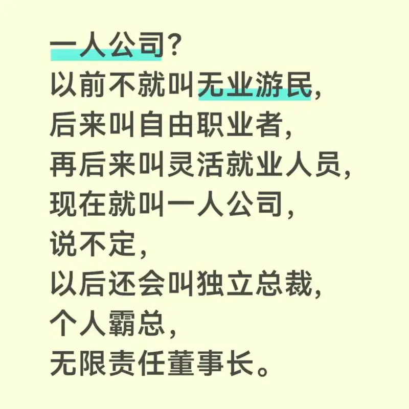 一人公司？以前不就叫无业游民，后来叫自由职业者，再后来叫灵活
