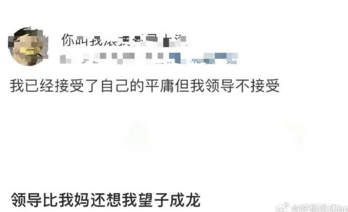 你叫找依品证。我已经接受了自己的平庸,但我领导不接受。领导比