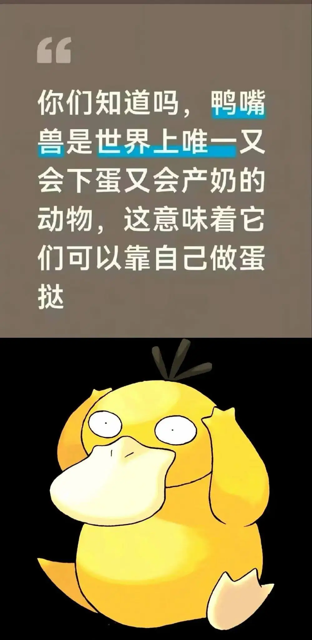 梗图