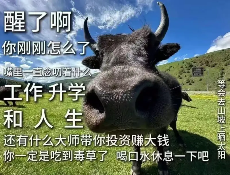 醒了啊，你刚刚怎么了？嘴里一直念叨着什么。等会去山坡上晒太阳