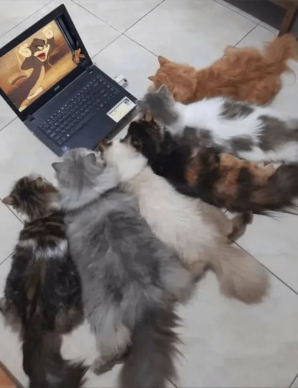 梗图