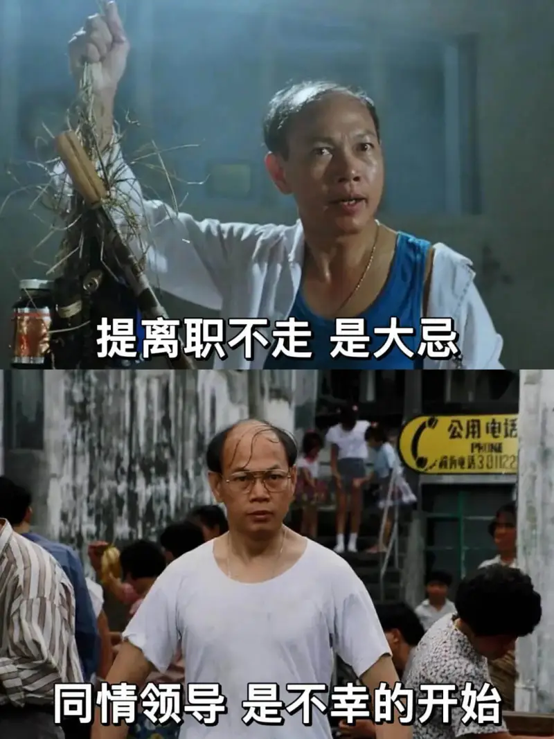 提离职不走是大忌。同情领导，是不幸的开始。