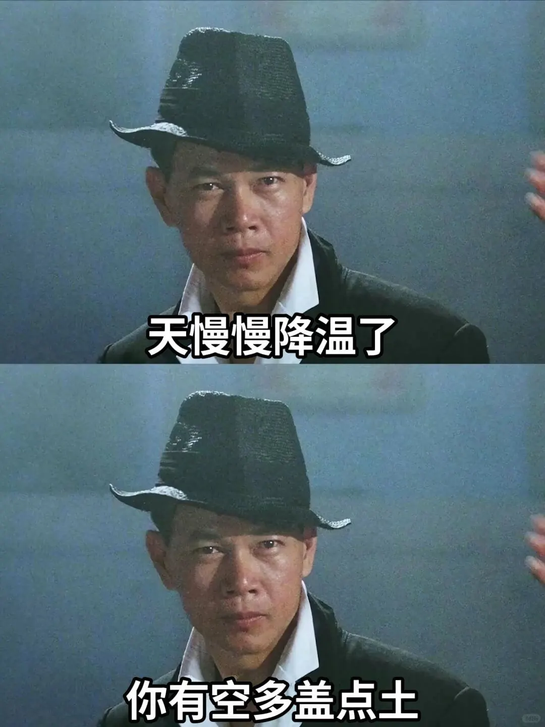 天慢慢降温了你有空多盖点土