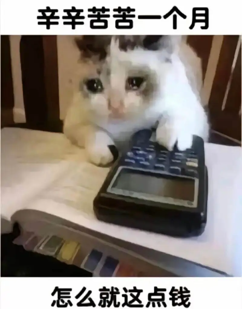 辛辛苦苦一个月，怎么就这点钱？