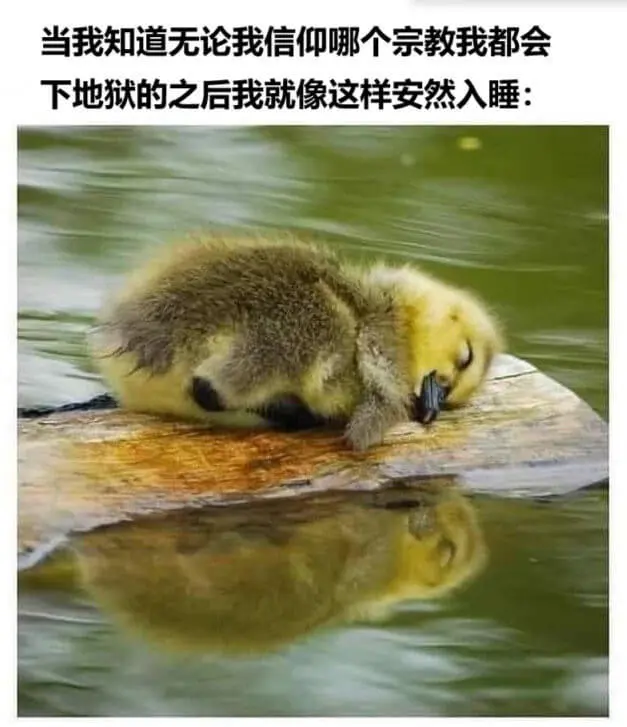当我知道无论我信仰哪个宗教，我都会下地狱的之后，我就像这样安