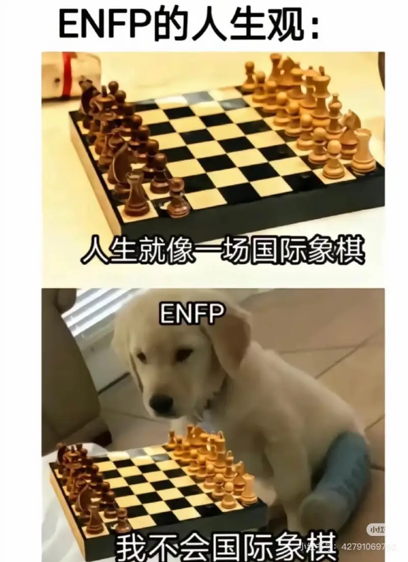 ENFP的人生观：人生就像一场国际象棋。ENFP小红：我不会