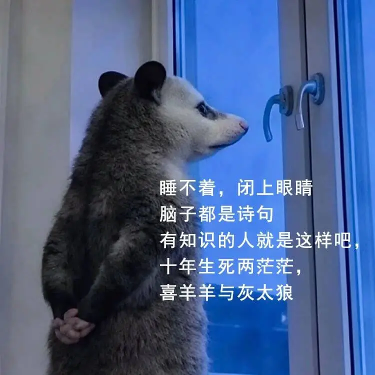 梗图