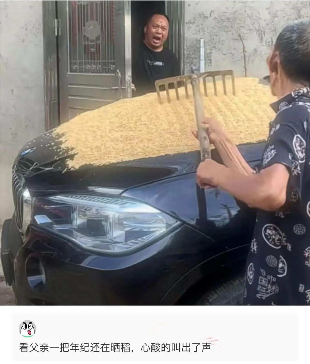 看父亲一把年纪还在晒稻，心酸的叫出了声