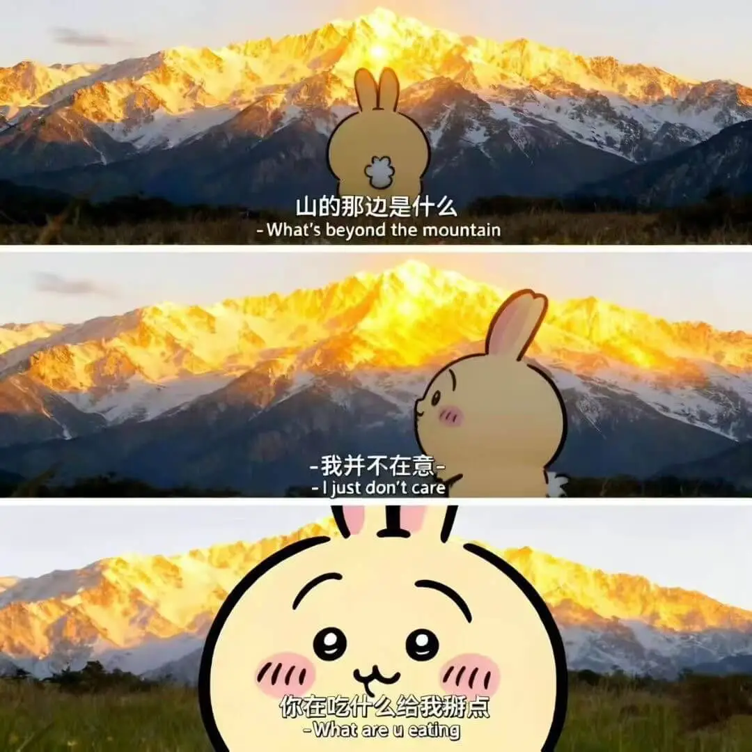 梗图