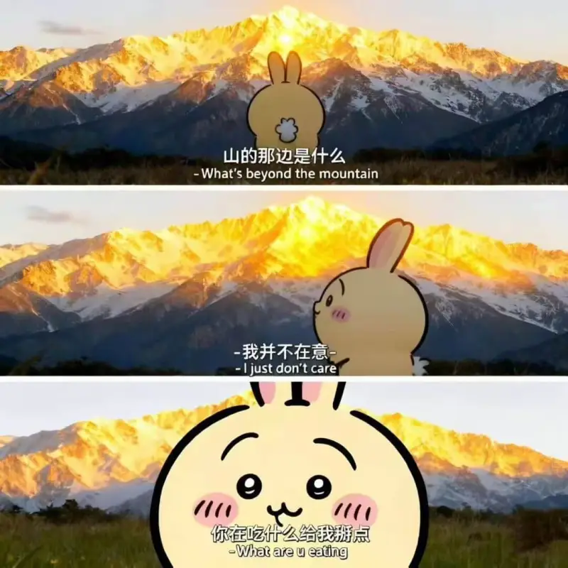梗图