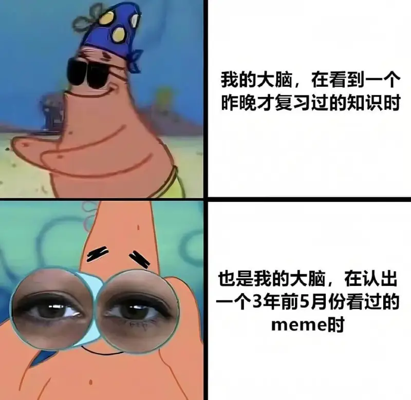 我的大脑，在看到一个昨晚才复习过的知识时，也是我的大脑，在认