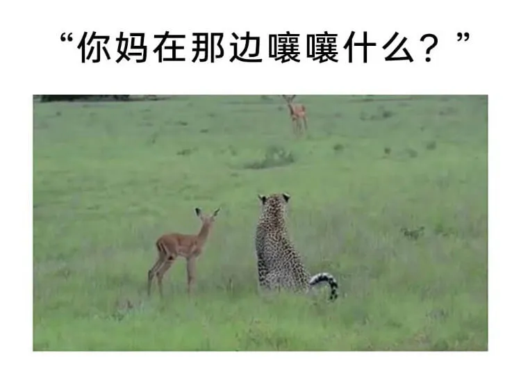 你妈在那边什么？