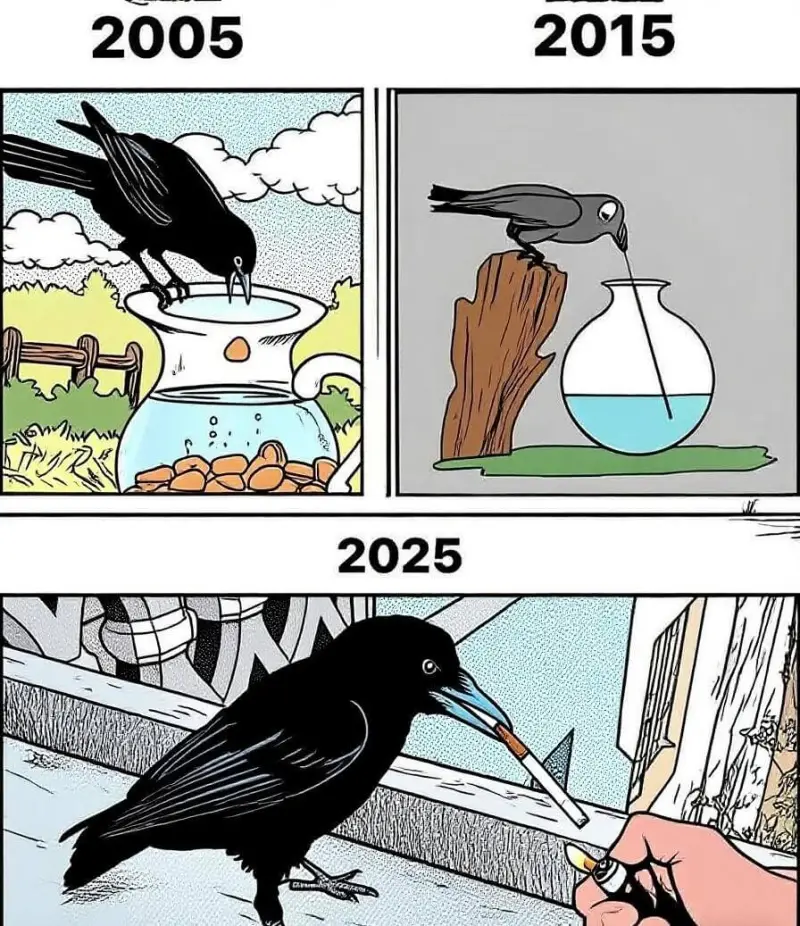 梗图