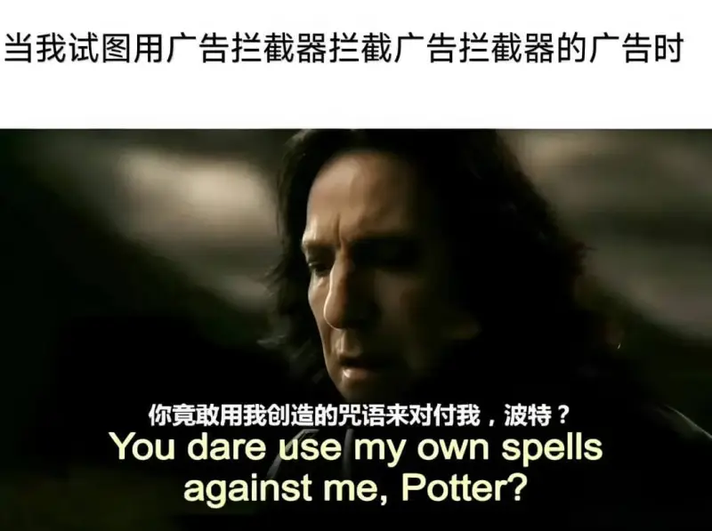 当我试图用广告拦截器拦截广告截器的广告时，你竟敢用我创造的咒