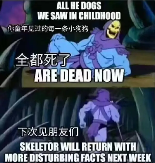 ALLHEDOGSWESAWINCHILDHOOD你童年见过