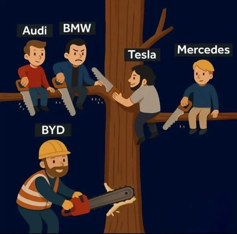 AudiBMWMercedesTeslaBYD