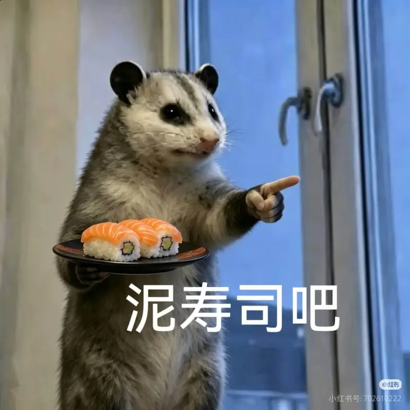 泥寿司吧小红书小红书号：702610222