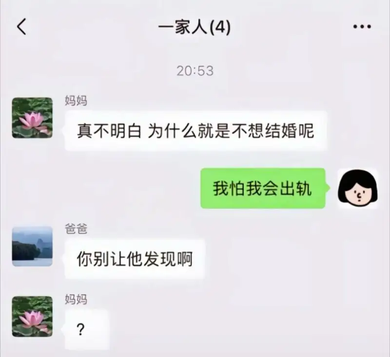 一家人(4)20:53妈妈：真不明白为什么就是不想结婚呢。我