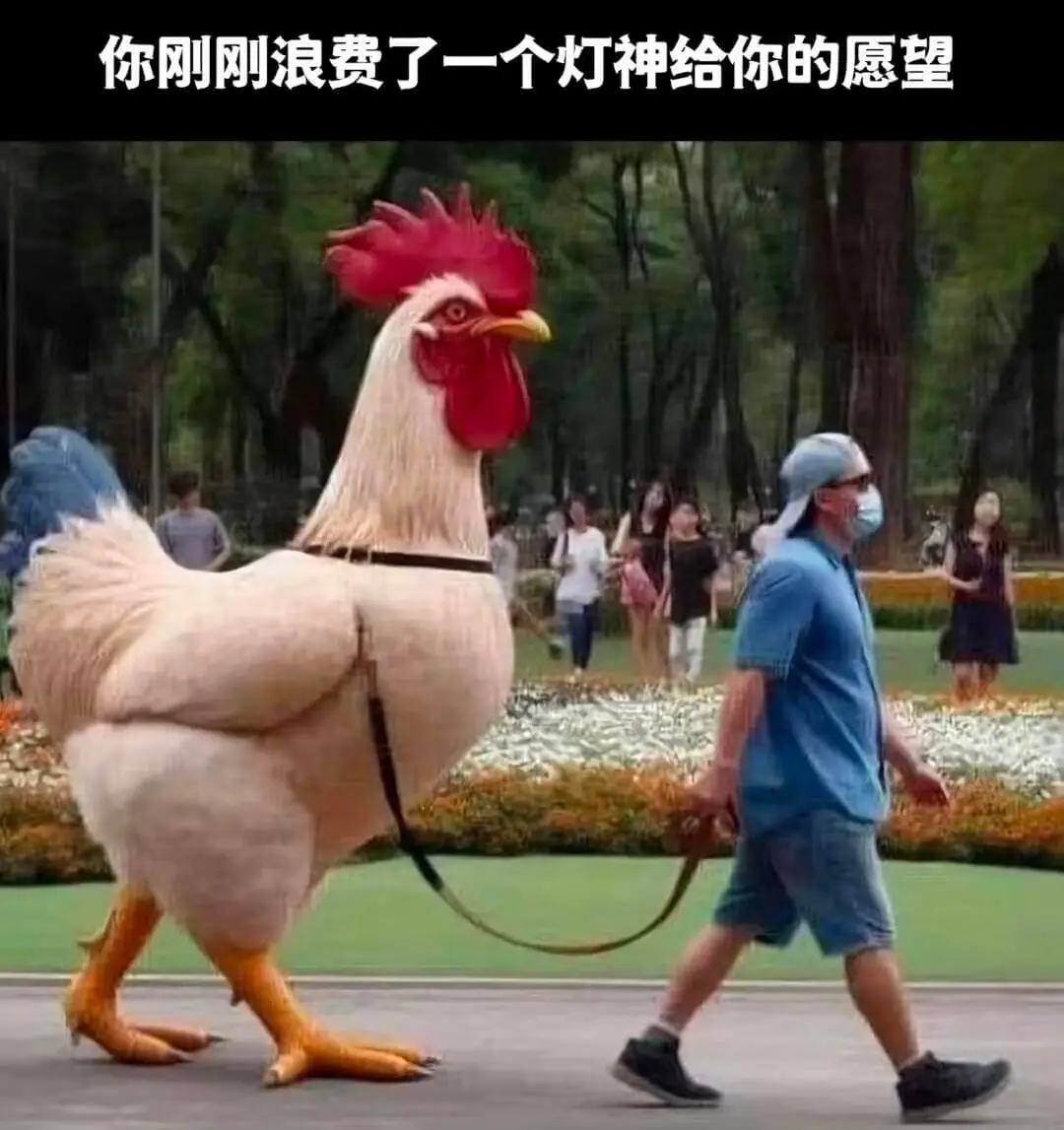 你刚刚浪费了一个灯神给你的愿望