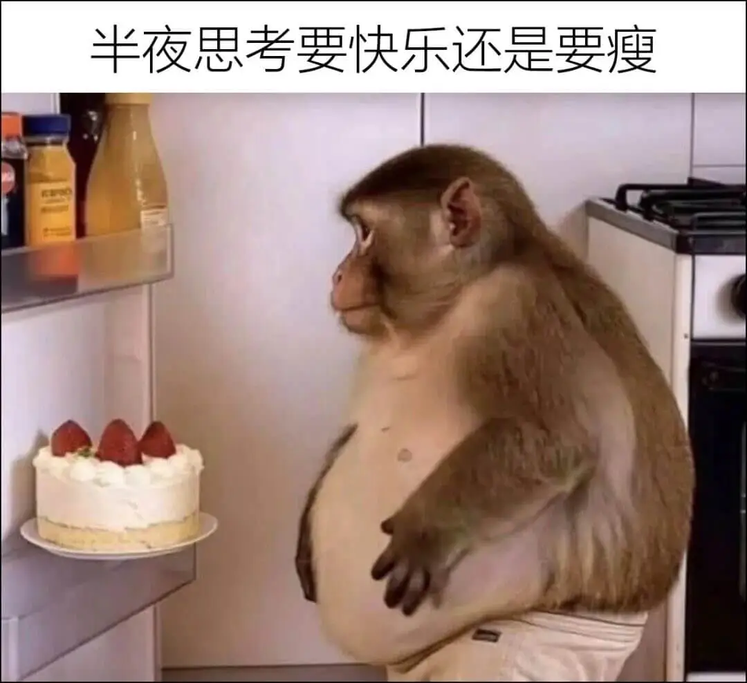 半夜饿了琢磨吃什么不胖