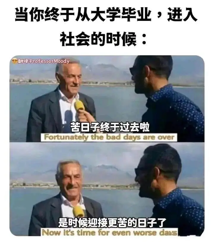 当你终于从大学毕业，进入社会的时候：i：ProfessorM