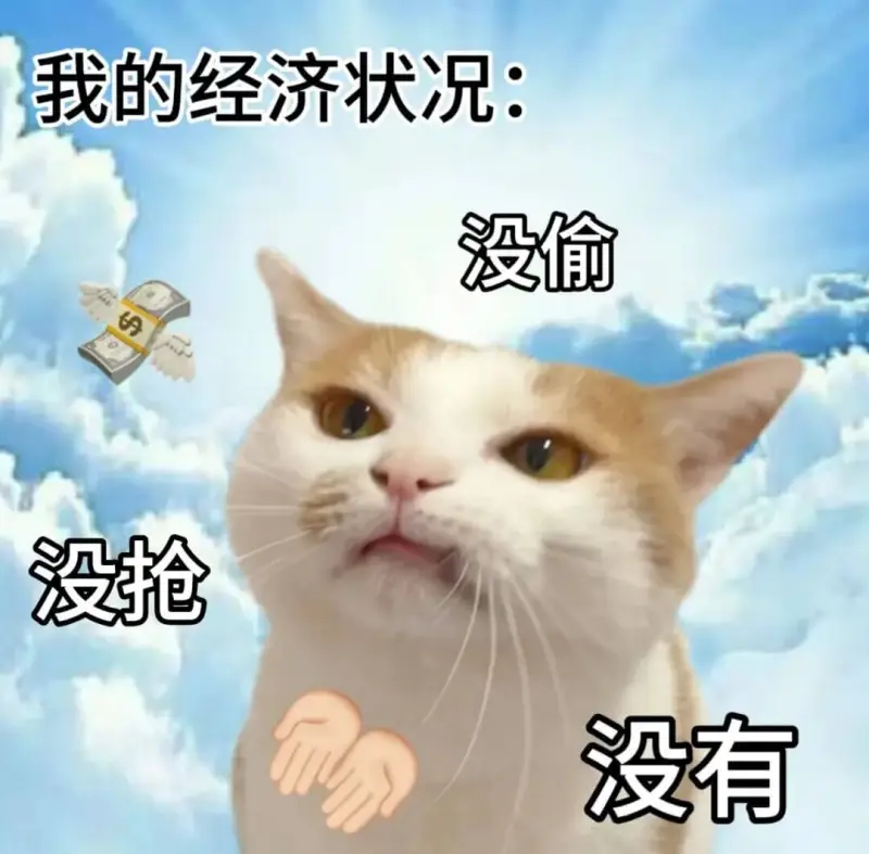 我的经济状况：没偷，没抢，没有山