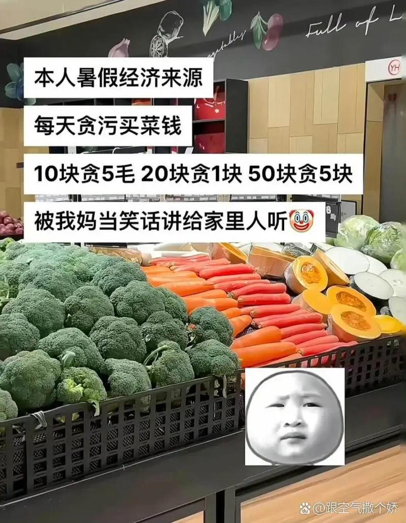 YH本人暑假经济来源每天贪污买菜钱10块贪5毛，20块贪1块