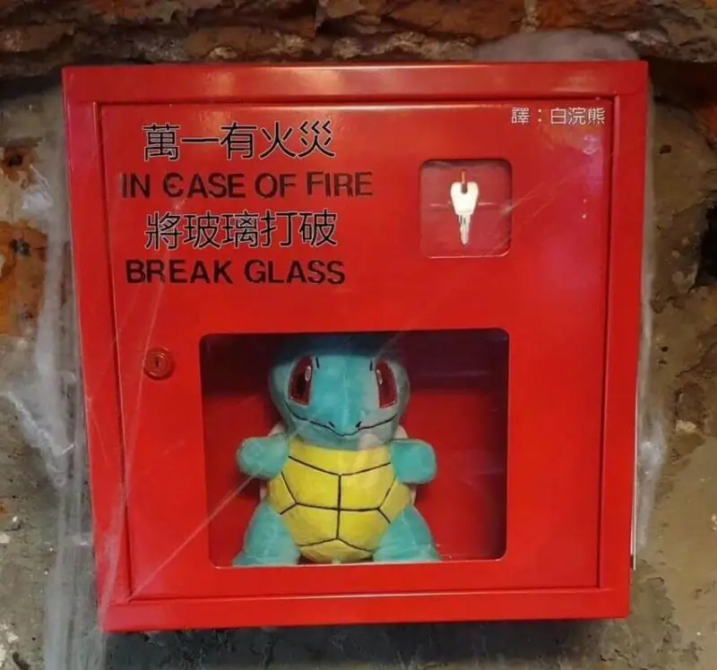 ：白浣熊萬一有火煲INCASEOFFIRE将玻璃打破BREA