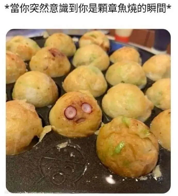 *當你突然意識到你是顆章魚燒的瞬間*