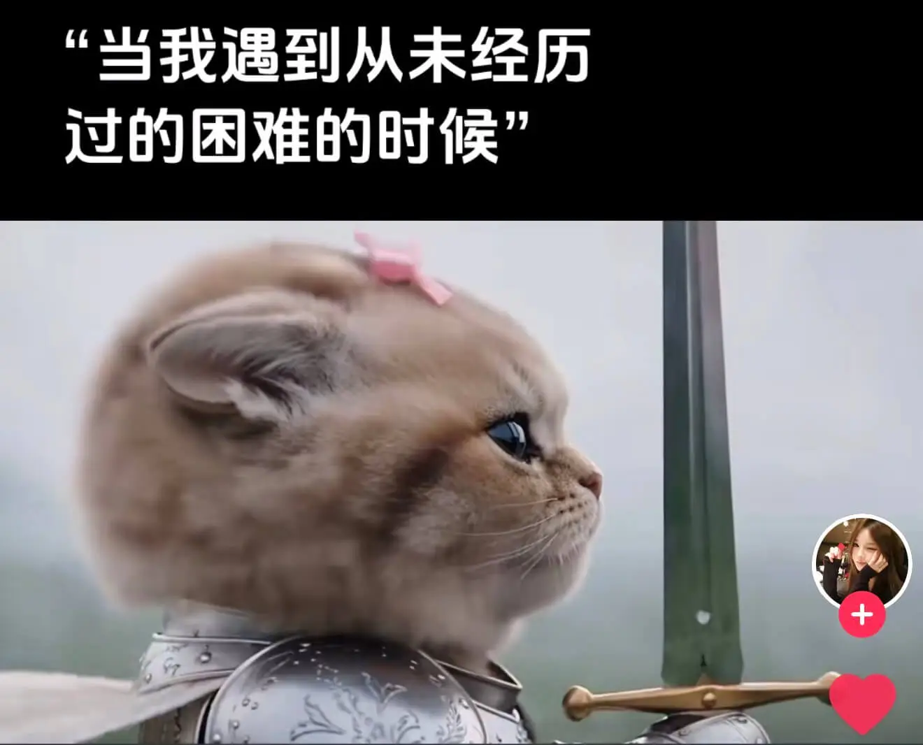 这个铠甲猫咪系列太有梗了