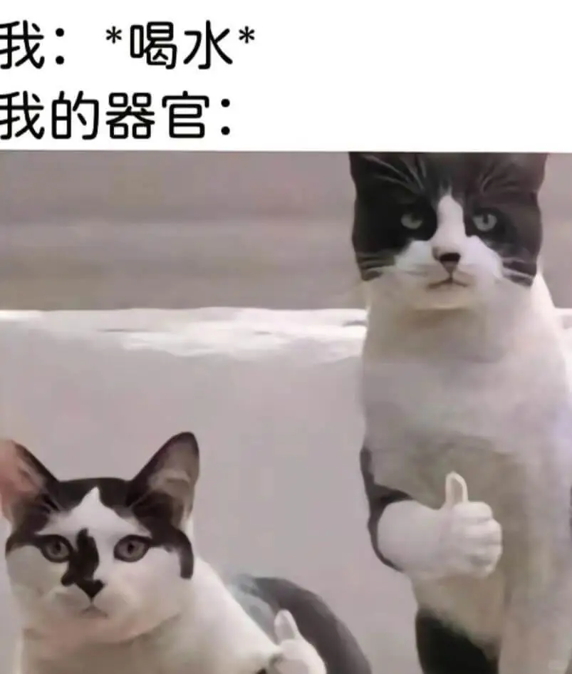 我：*喝水*我的器官：