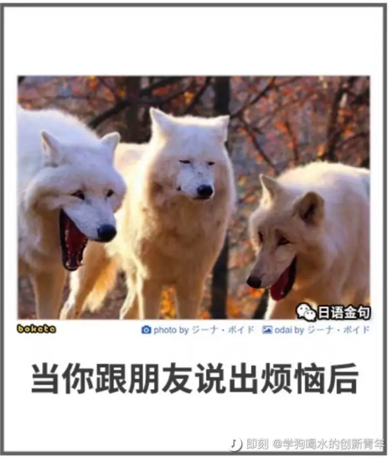 日语金句bokctoaphotoby十·术odaiby一十术