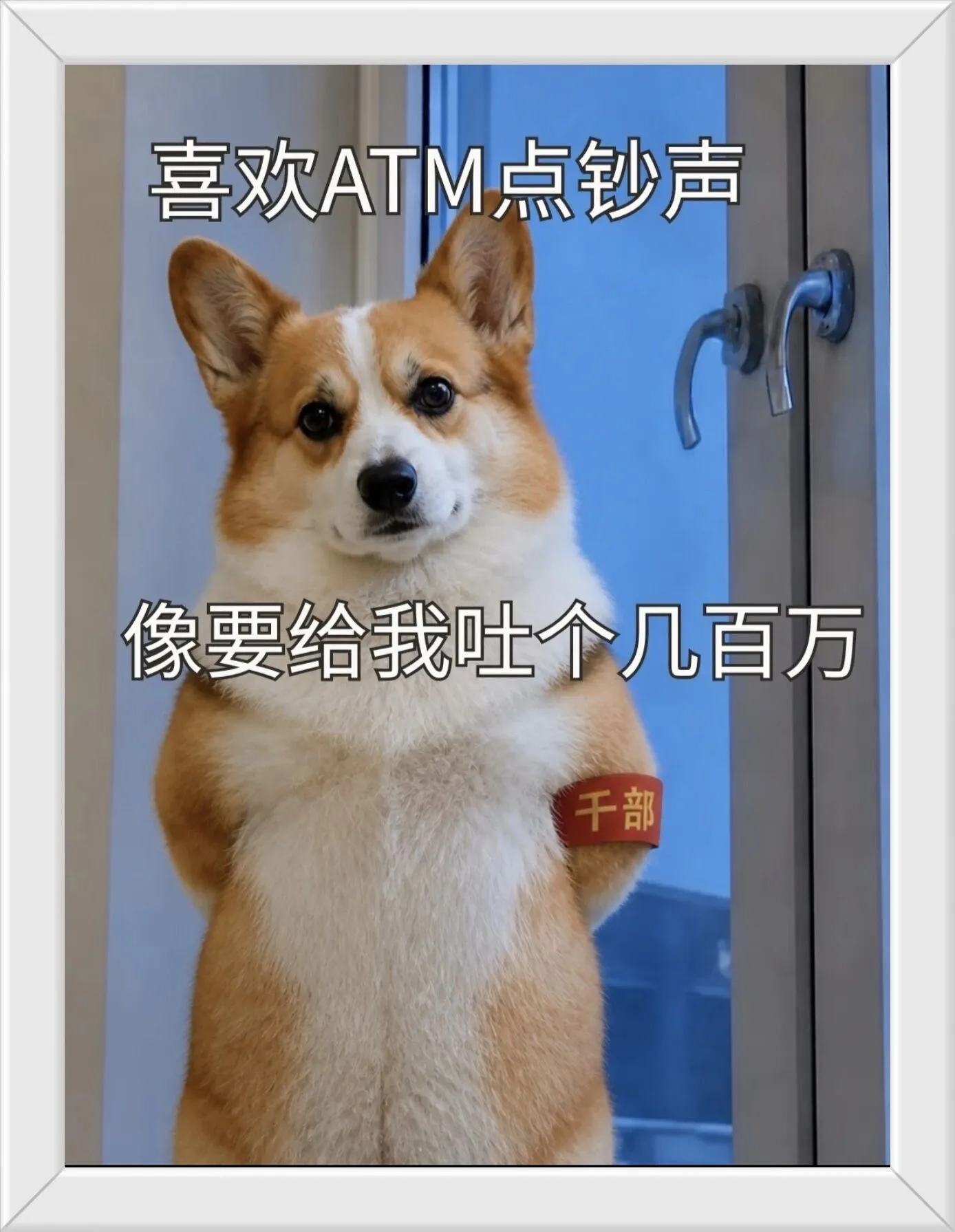 帮我挂个富科哈哈哈哈哈哈哈哈哈哈哈哈哈哈哈