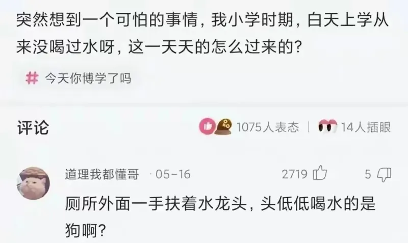 突然想到一个可怕的事情，我小学时期，白天上学从来没喝过水呀，