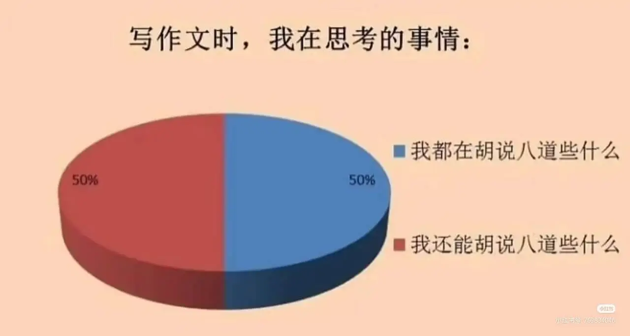 写作文时，我在思考的事情：我都在胡说八道些什么？我还能胡说八