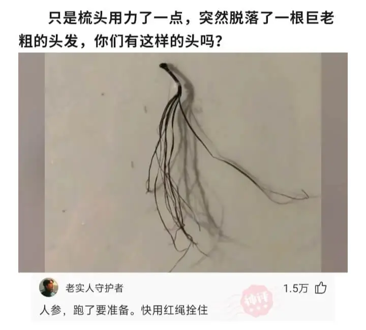 只是梳头用力了一点,突然脱落了一根巨老粗的头发，你们有这样的