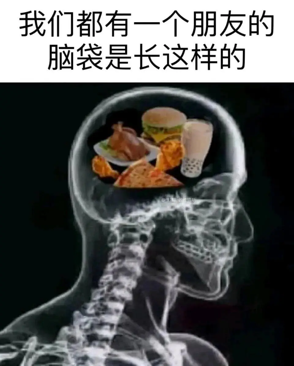 我们都有一个朋友的脑袋是长这样的
