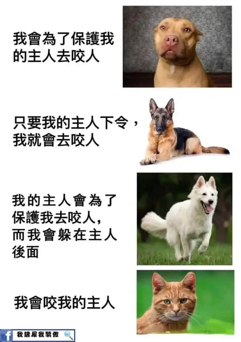 我会为了保护我的主人去咬人，只要我的主人下令！我就會去咬人。