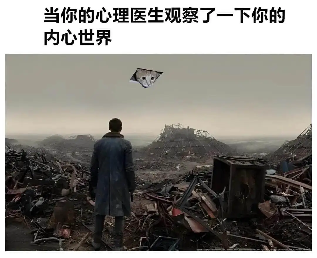 当你的心理医生观察了一下你的内心世界