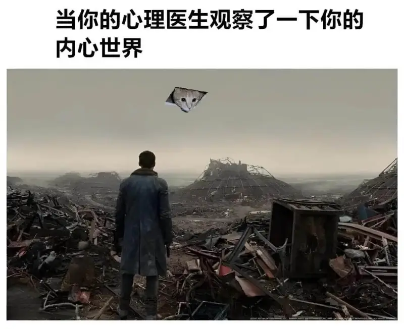 当你的心理医生观察了一下你的内心世界