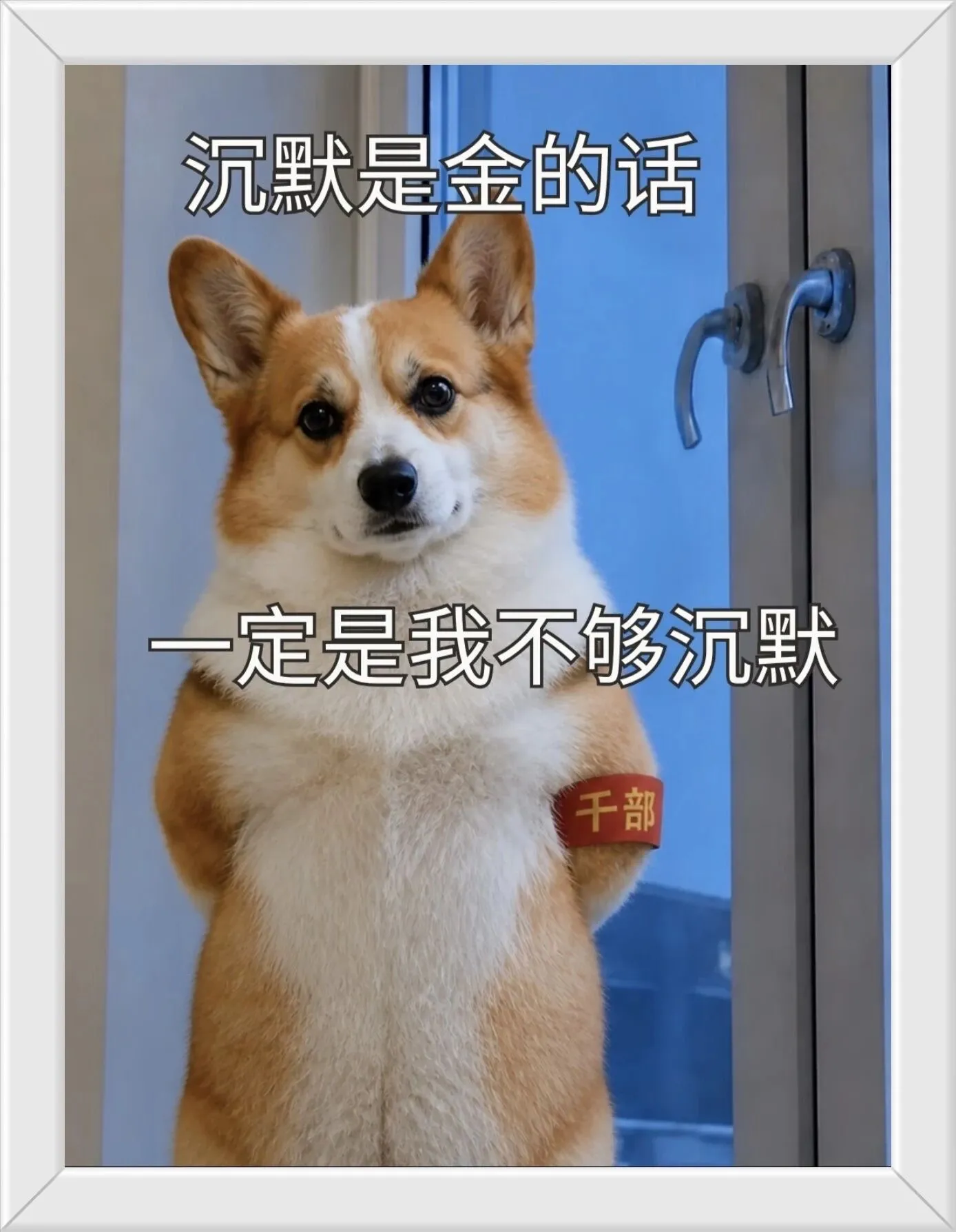 帮我挂个富科哈哈哈哈哈哈哈哈哈哈哈哈哈哈哈