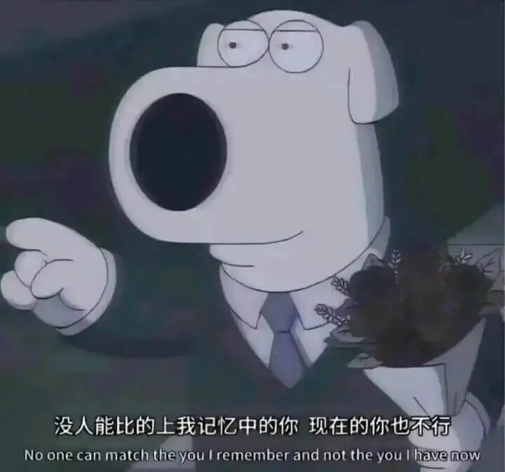 没人能比的上我记忆中的你现在的你也不行Noonecanmat