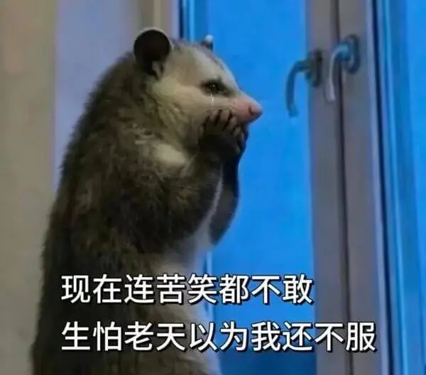 梗图