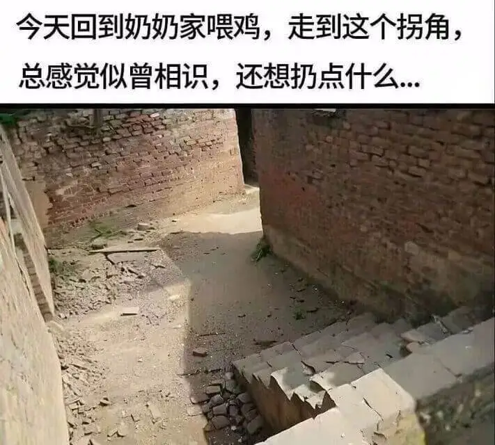 今天回到奶奶家喂鸡，走到这个拐角，总感觉似曾相识，还想扔点什
