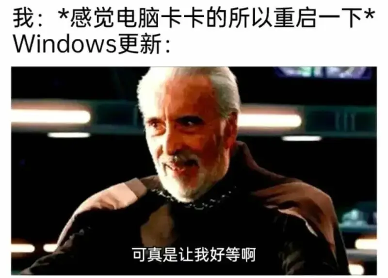 我：*感觉电脑卡卡的，所以重启一下*Windows更新：可真