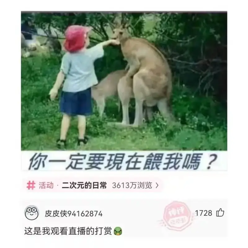 你一定要現在餵我嗎?活动·二次元的日常13613万浏览皮皮侠