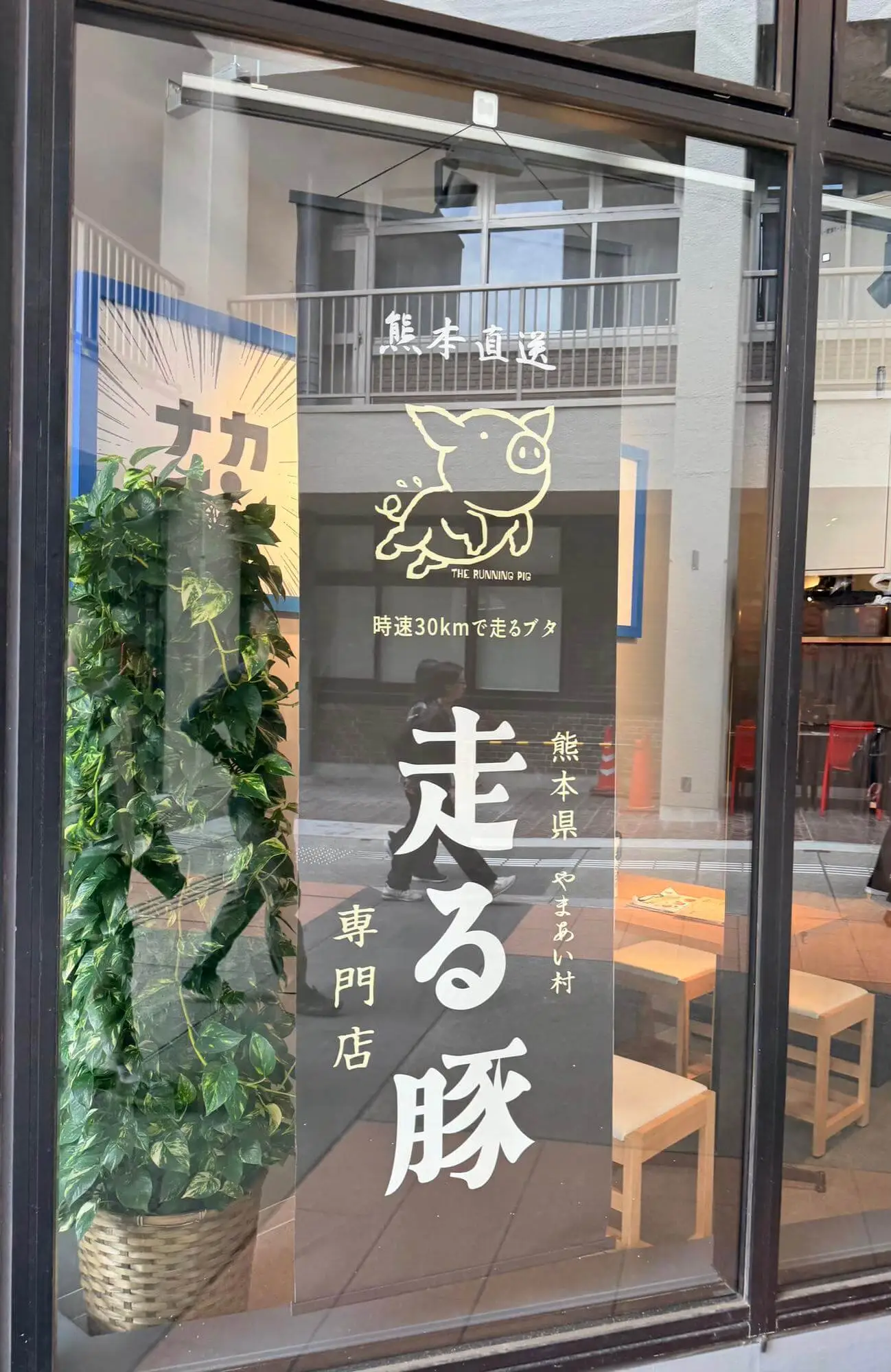 时速30公里的跑步猪😳再也不能说懒得像猪了！
