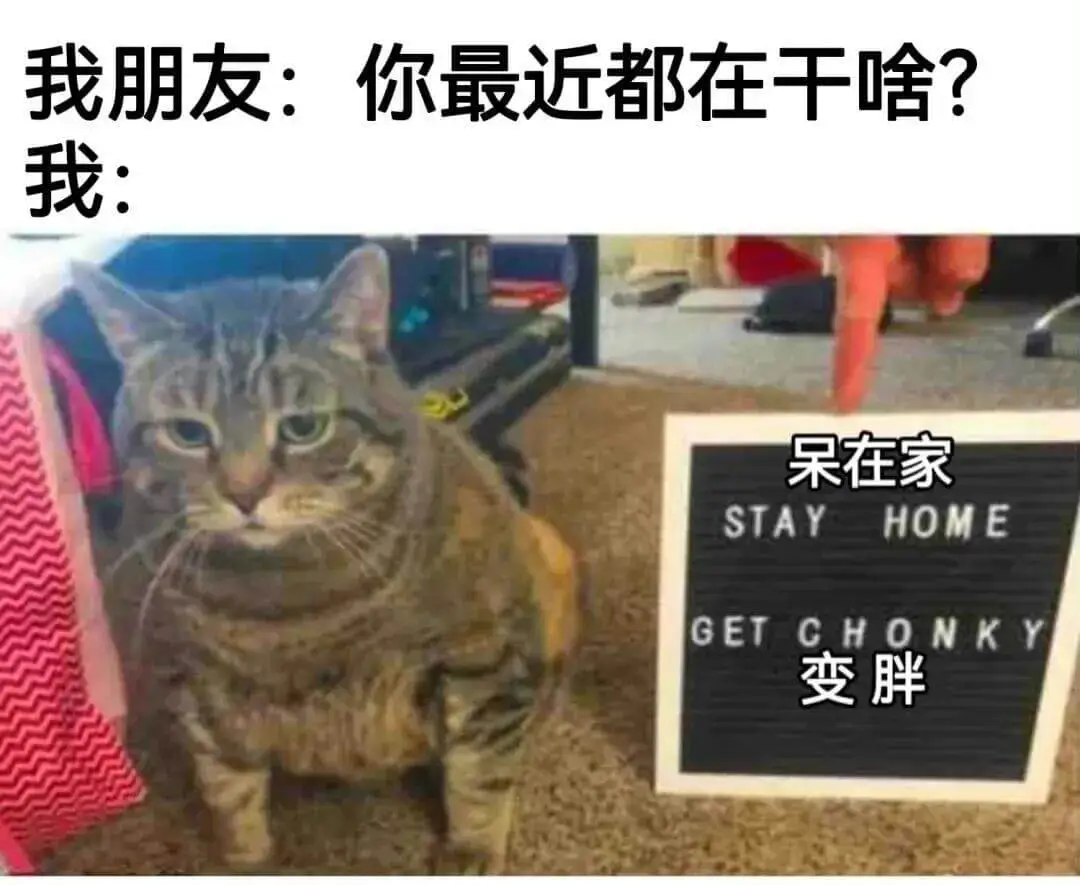 我朋友：你最近都在干啥？我：呆在家，STAYHOME，GET